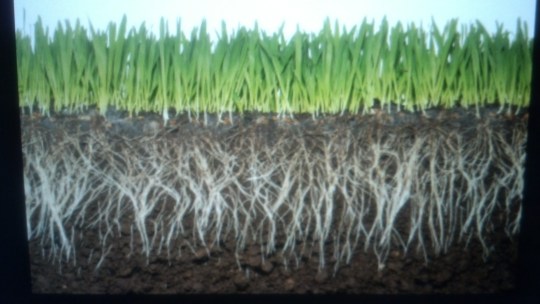 IMG_20150524_212053_654